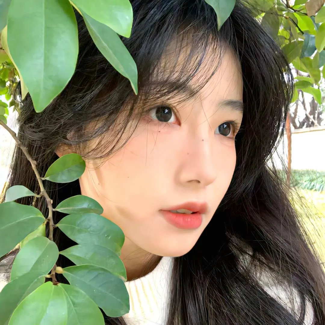 风中的母鸡